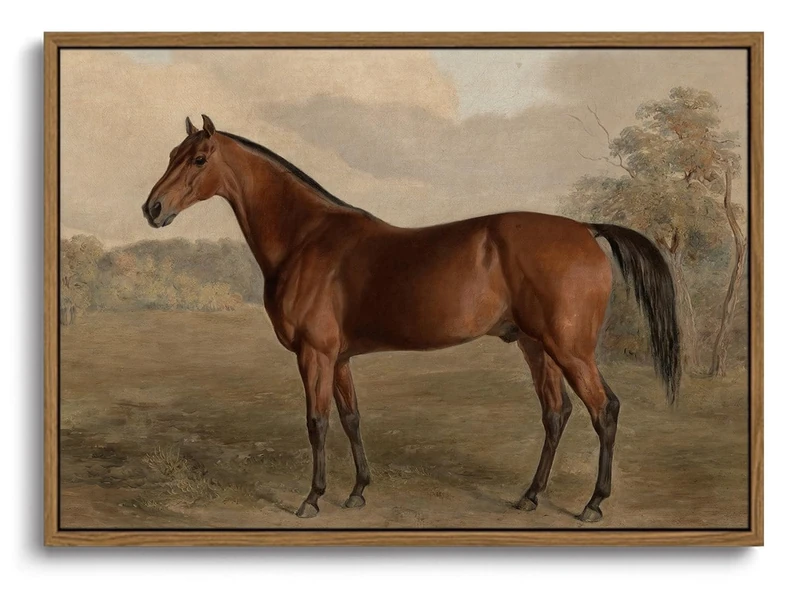 KISSFOX Vintage Framed Wall Art Animal Horse Portrait Canvas Art Prints Equestrian Rustic Farmhouse Pictures Wall Decor Cottagecore Antique Paintings Artwork For Kitchen Bedroom Living Room Bathroom