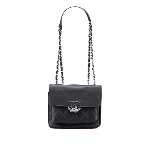 Chanel Pre-Loved Small Quilted Goatskin CC Box Flap Shoulder Bag