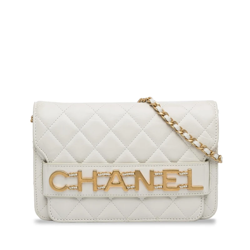 Chanel Pre-Loved Enchained Wallet On Chain Handbag Crossbody Bag