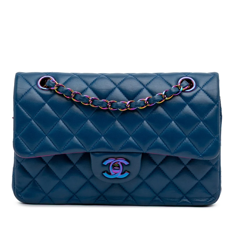 Chanel Pre-Loved Small Classic Lambskin Rainbow Double Flap Shoulder Bag