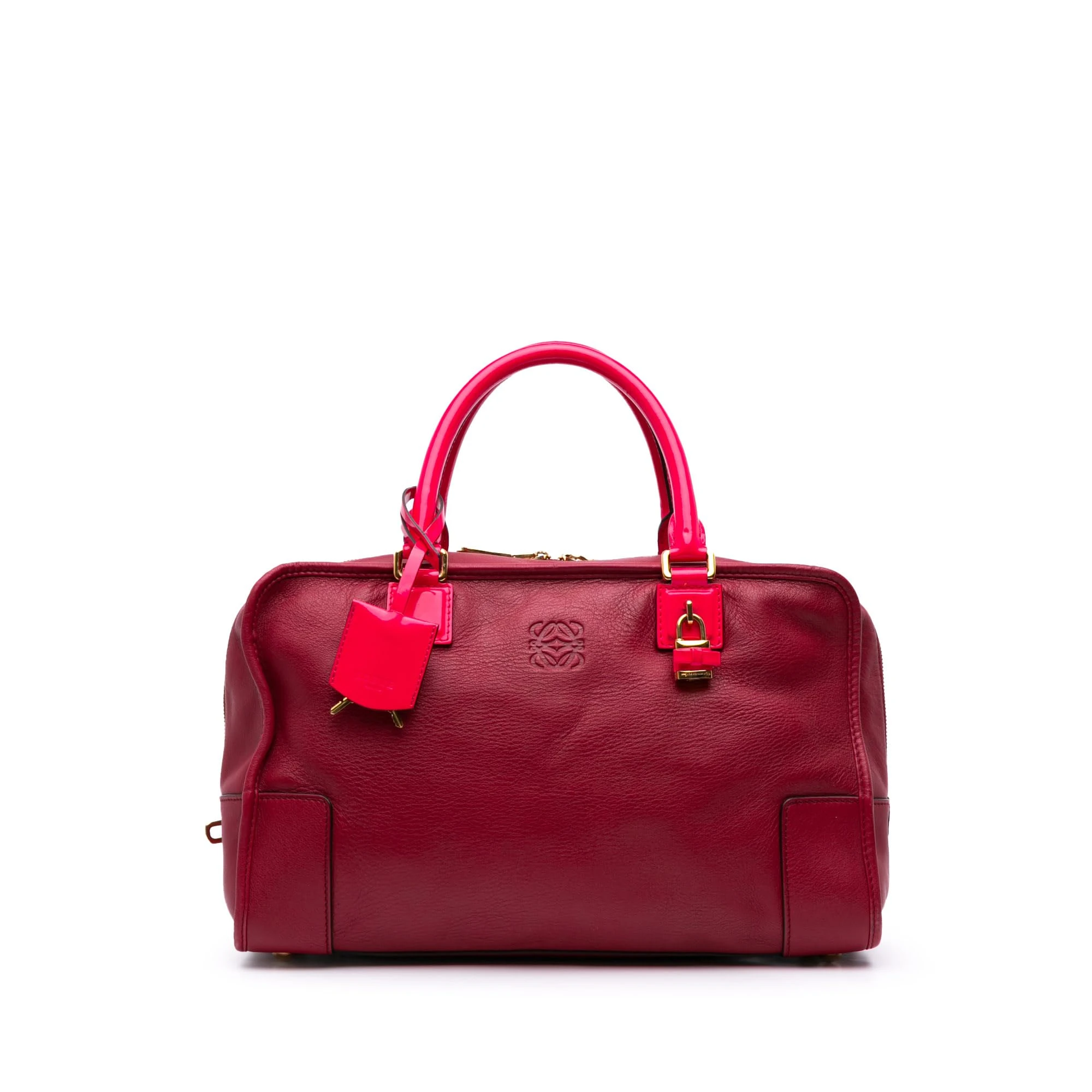 LOEWE Pre-Loved Special Edition Bicolor Leather Amazona 36