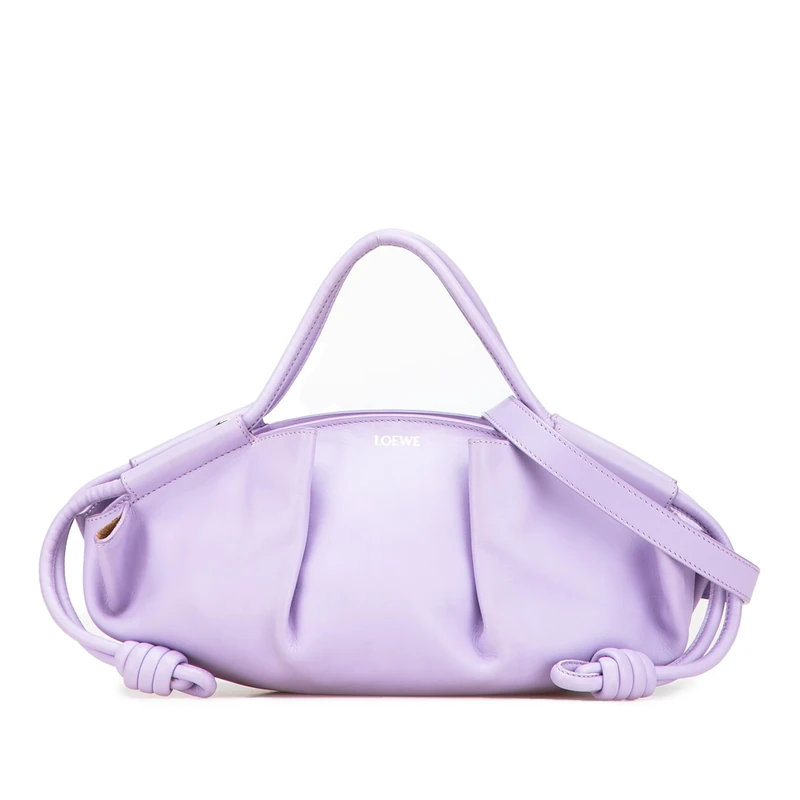 LOEWE Pre-Loved Small Shiny Calfskin Paseo Satchel Handbag