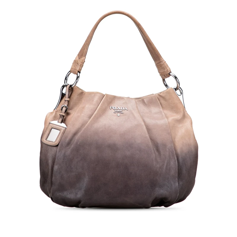 Pre-Loved Glace Calf Ombre Pleated Hobo