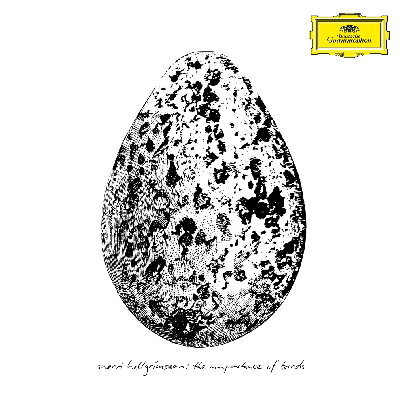 The Importance of Birds