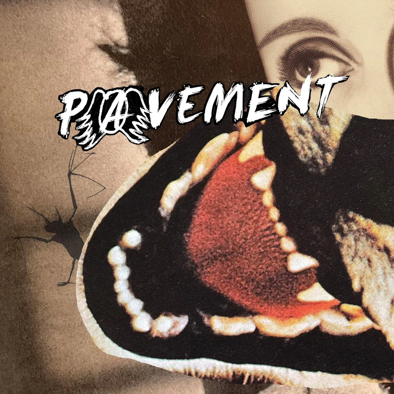 Hecklers Choice: Big Gums and Heavy Lifters - A Pavement Collection [Explicit]