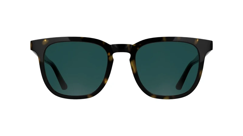 Calvin Klein Men's Sunglasses CK25536S - Dark Havana with Solid Blue Lens
