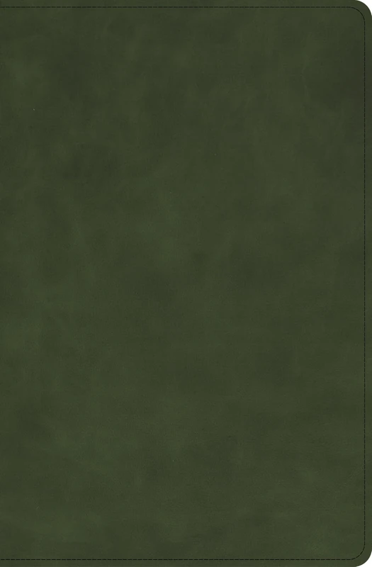 Holman CSB Personal Size Bible - Olive Premium Calfskin