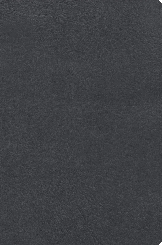 RVR 1960 Biblia de estudio de letra gigante, negro, símil piel