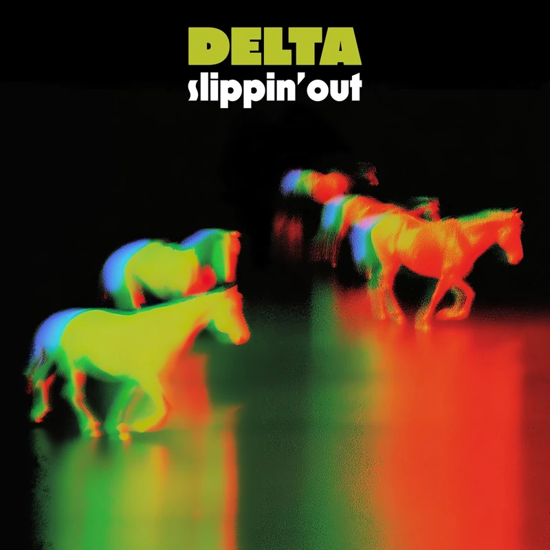 SLIPPIN' OUT [VINYL]
