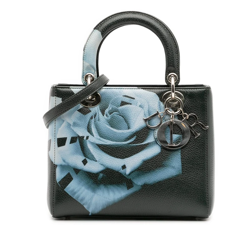 Dior Pre-Loved Medium Deerskin Floral Print Lady Handbag