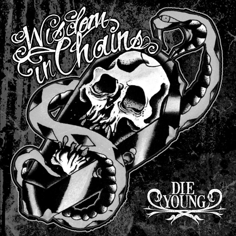 Die Young (20th Anniversary Ghost Edition ) [Vinyl LP] [VINYL] - Image 1