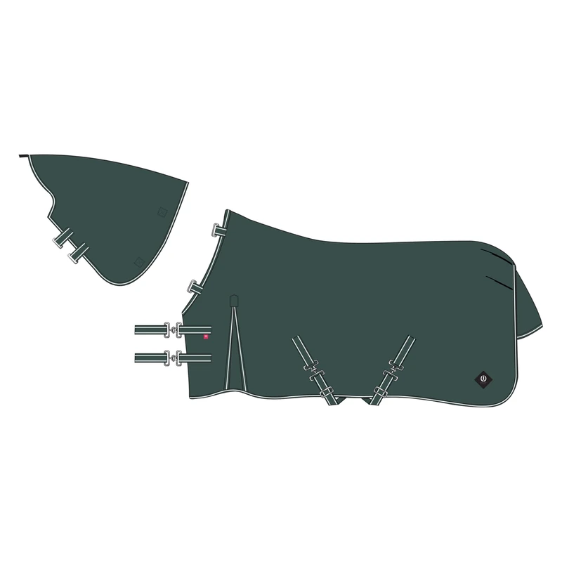 Imperial Riding IRHBasic Outdoor Blanket, 400 g, Removable Neck Piece, Winter Blanket, Weatherproof Material, Kick Pleat, 600D Polyester, Cross Surcingles, Tail & Leg Cords, Wine Red, 165