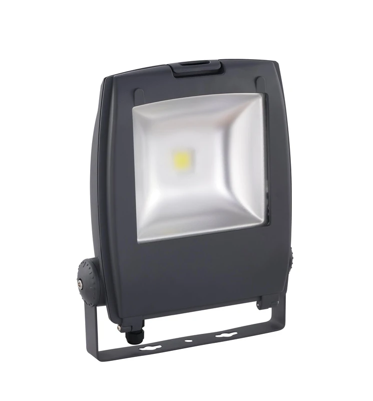 Eglo LED Floodlight Gambettola Pro, Adjustable Outdoor lamp, Aluminium Spotlight in Anthracite, Clear Glass, Cool White, IP65 - Image 1