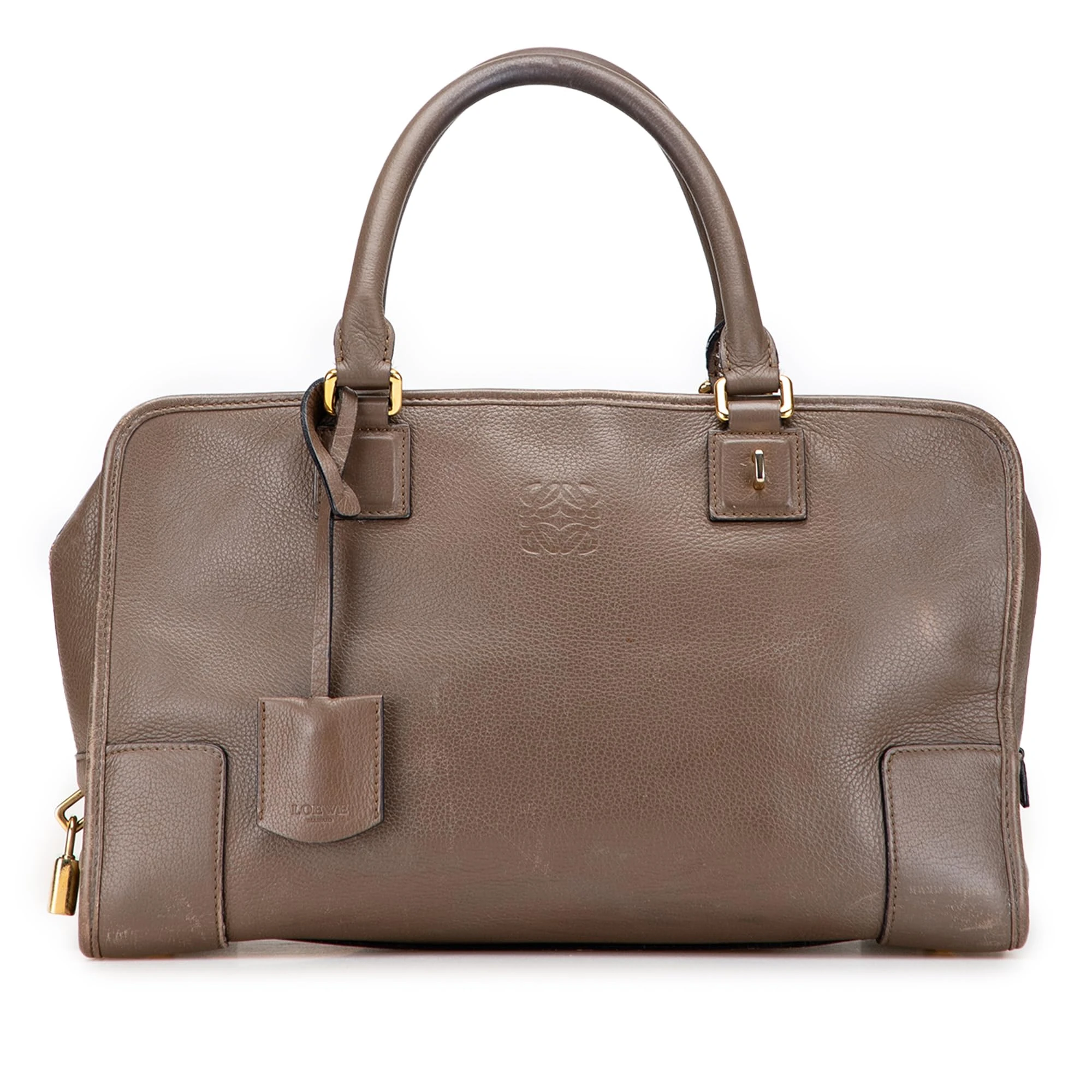 LOEWE Pre-Loved Leather Amazona 36