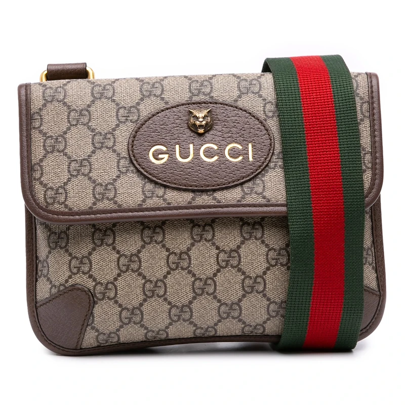 Gucci Pre-Loved Small GG Supreme Web Neo Vintage Double Flap Messenger Bag Crossbody