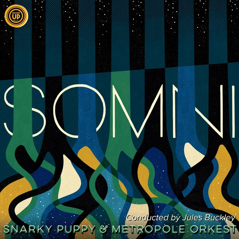 Somni [VINYL]