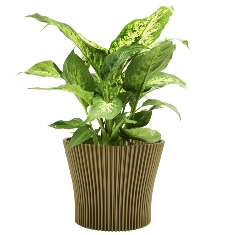 B2C Matt Ribbed Flower Pot – Modern Flared Conical Planter with Pleated Design, Lightweight, Indoor/Outdoor Decorative Plant Pot – Multiple Sizes & Colors (Gold, 15cm)