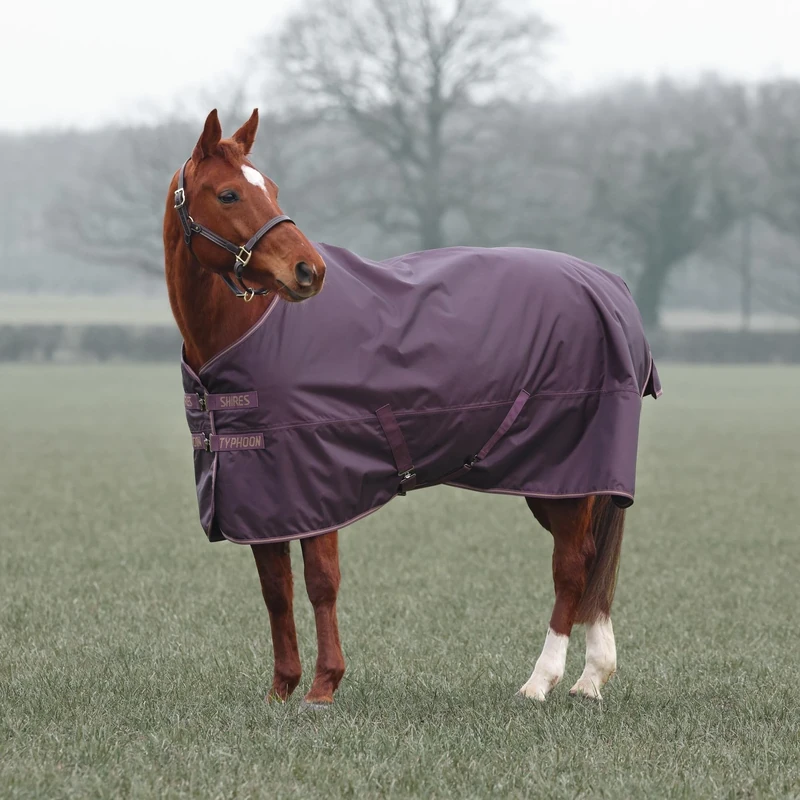 Shires Typhoon 100 Turnout Rug - Black Cherry