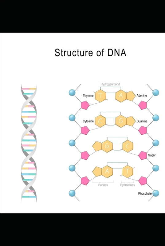 iSBN: 9798264435683 Inversores Internacionales: EBF Colirios Brasil Regenerativo