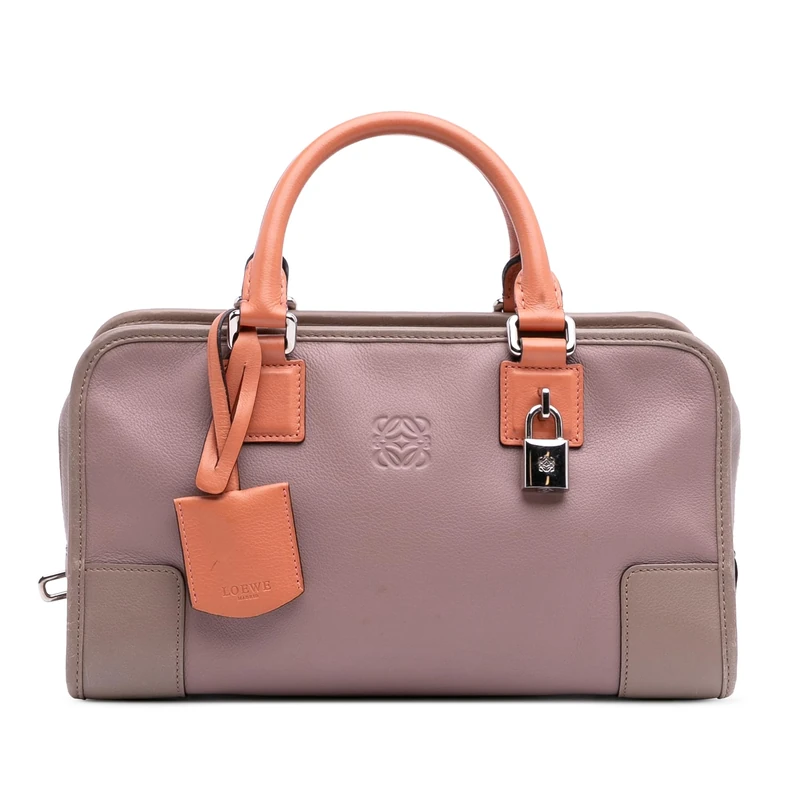 LOEWE Pre-Loved Tricolor Leather Amazona 28 Handbag