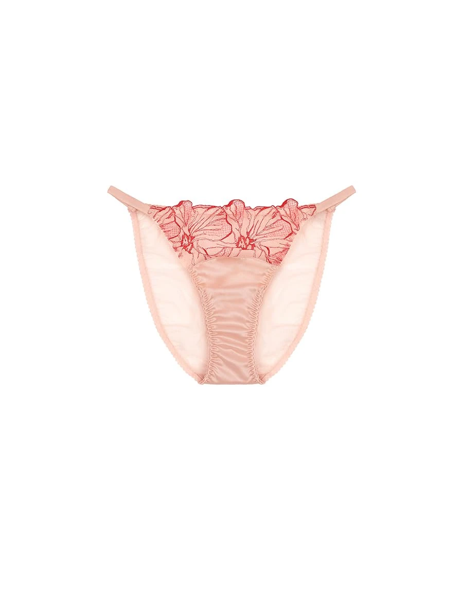 Fleur of England, Rosa Brief, S