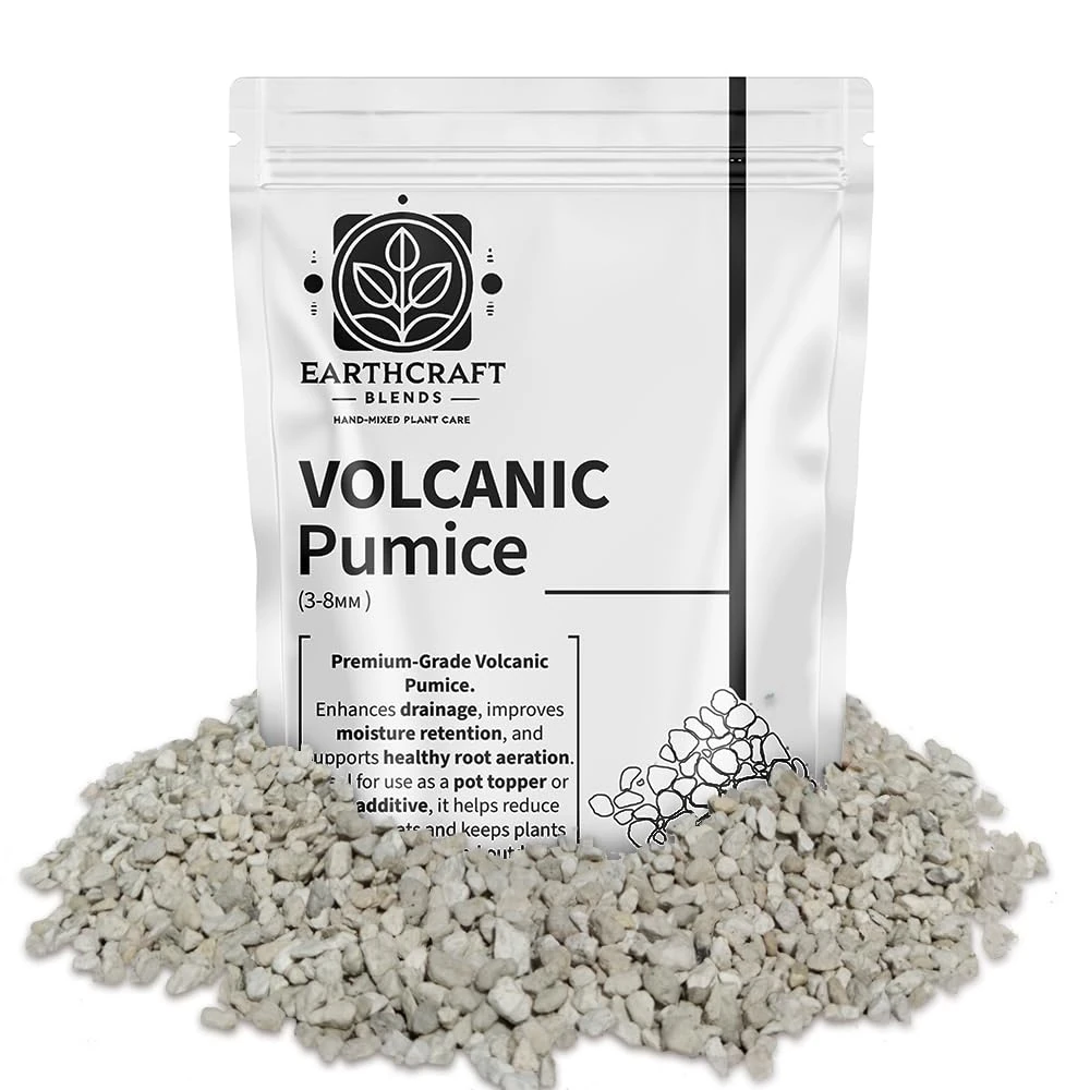 Volcanic Pumice for Plants – Natural Plant Pot Topper to Stop Fungus Gnats, Improve Drainage & Decorate Soil – Ideal for Cacti, Succulents, Bonsai & Houseplants (3 Litre Resealable Bag)