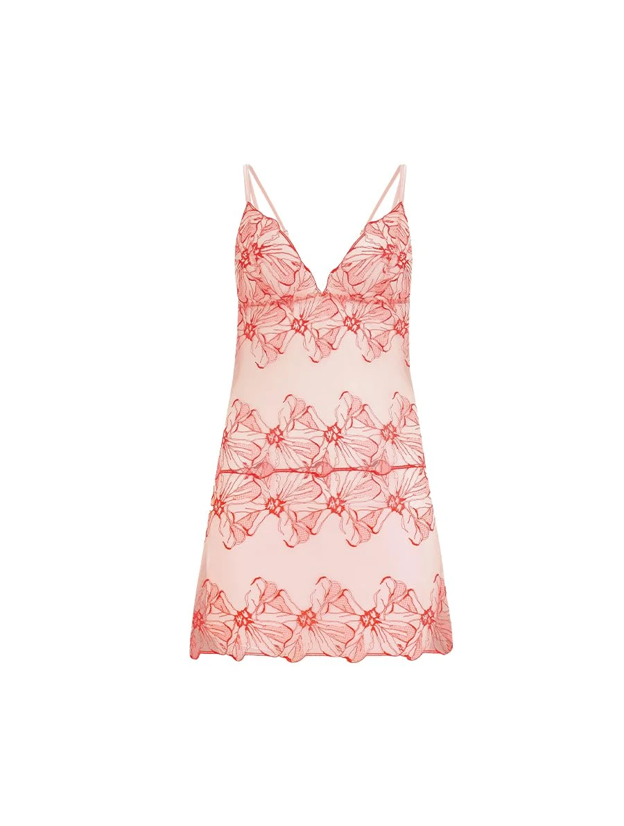 Fleur of England, Rosa Babydoll, L