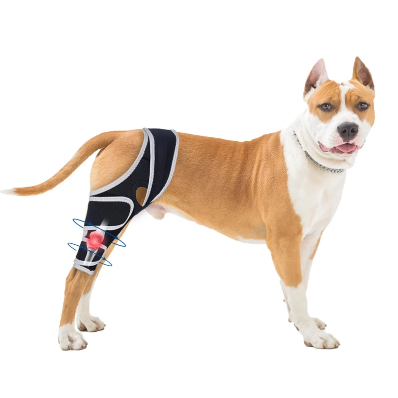 Moysoon Dog Knee Brace for Torn ACL with Side Stabilizers Provides Stable Support and Pain Relief for Hind Leg.,(Size M)