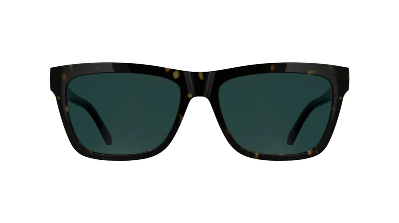 Calvin Klein Jeans Men's Sunglasses CKJ25623S - Dark Havana with Solid Petrol Lens