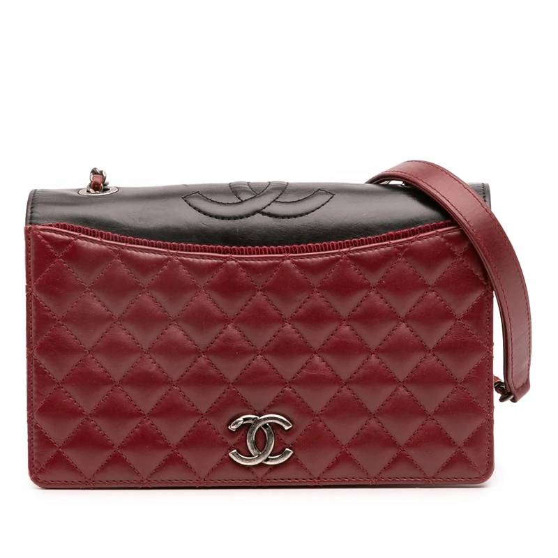 Chanel Pre-Loved Small Quilted Lambskin Ballerine Flap Bag Crossbody
