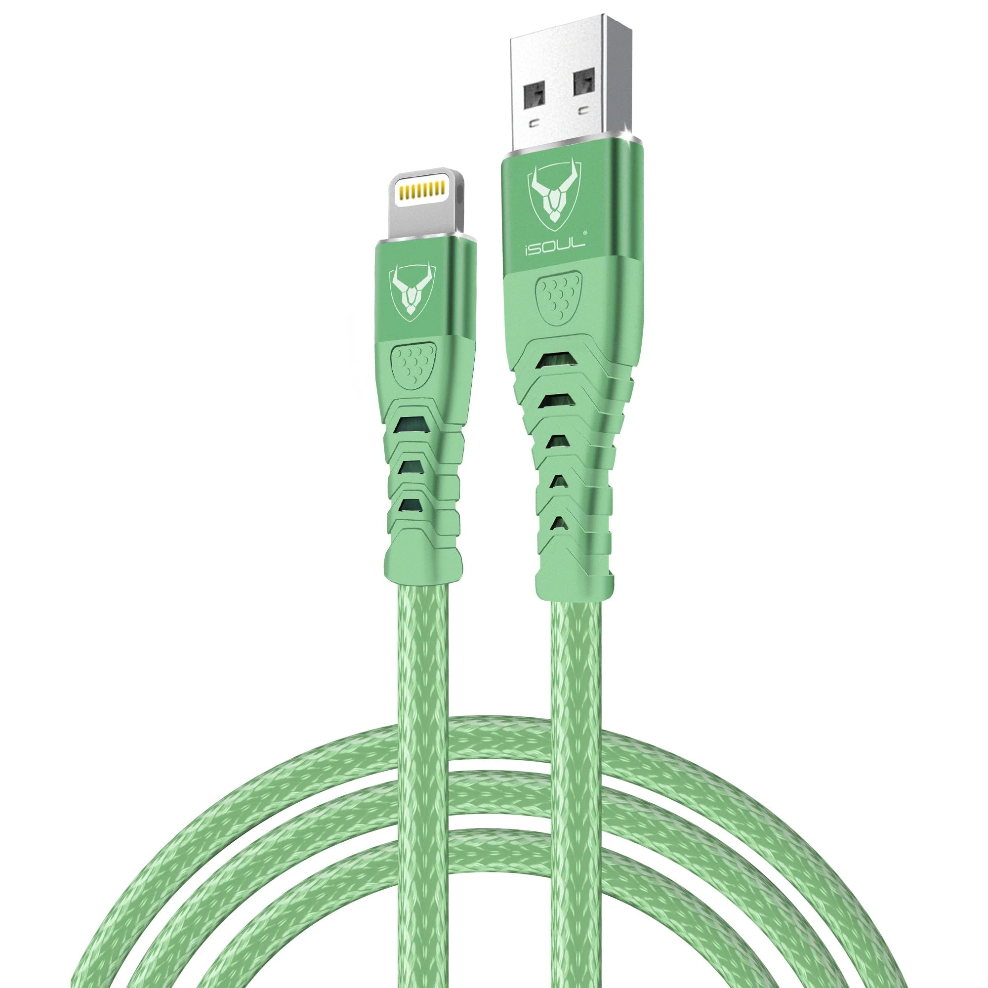 iPhone Charger Cable Cord, 3M iPhone Charger Cable, MFi Certified Lightning Cable Braided Charger Fast Charge USB Fast Charging Lead for iPhone 14 13 12 11 Pro Max XS XR X 8 7 6 Plus 5 SE Green