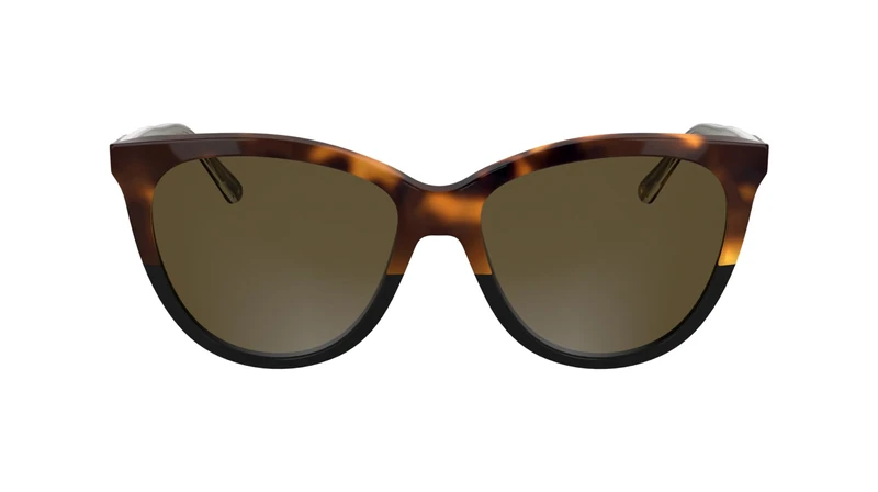 Calvin Klein Women's Sunglasses CK25508S/N - Havana/Black with Lens