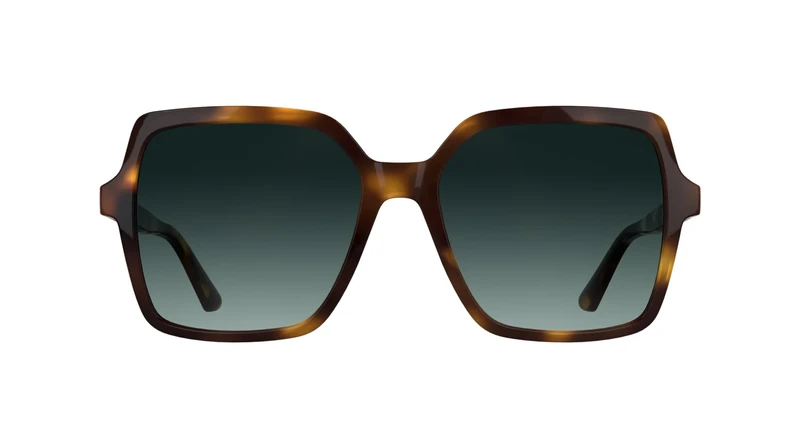 Calvin Klein Women's Sunglasses CK25537S - Dark Havana with Gradient Petrol Lens