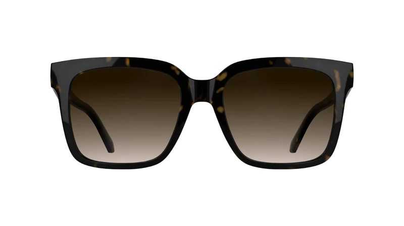 Calvin Klein Jeans Women's Sunglasses CKJ25624S - Dark Havana with Gradient Brown Lens