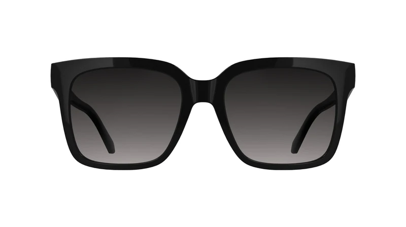 Calvin Klein Jeans Women's Sunglasses CKJ25624S - Black with Gradient Smoke Lens