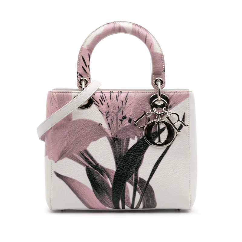 Dior Pre-Loved Medium Deerskin Floral Printed Lady Handbag