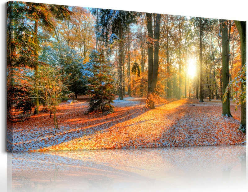 Bamdeya Living Room Wall Art Decor Forest Canvas Print Autumn Poster Sunset Tree Picture Modern Panel Natural Landscape Painting Fall Scenery Artwork for Bedroom Kitchen Office Home Wall Decor