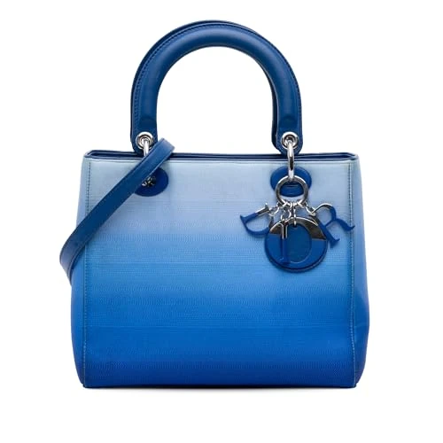 Dior Pre-Loved Medium Denim Ombre Lady Handbag