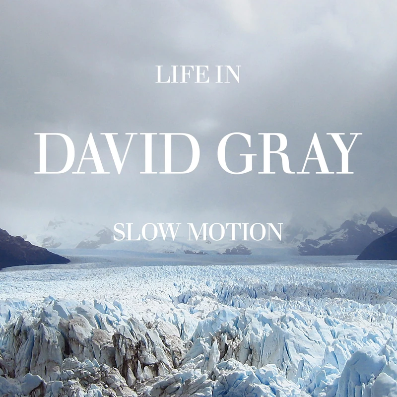Life In Slow Motion (20th Anniversary Deluxe Edition) [VINYL]