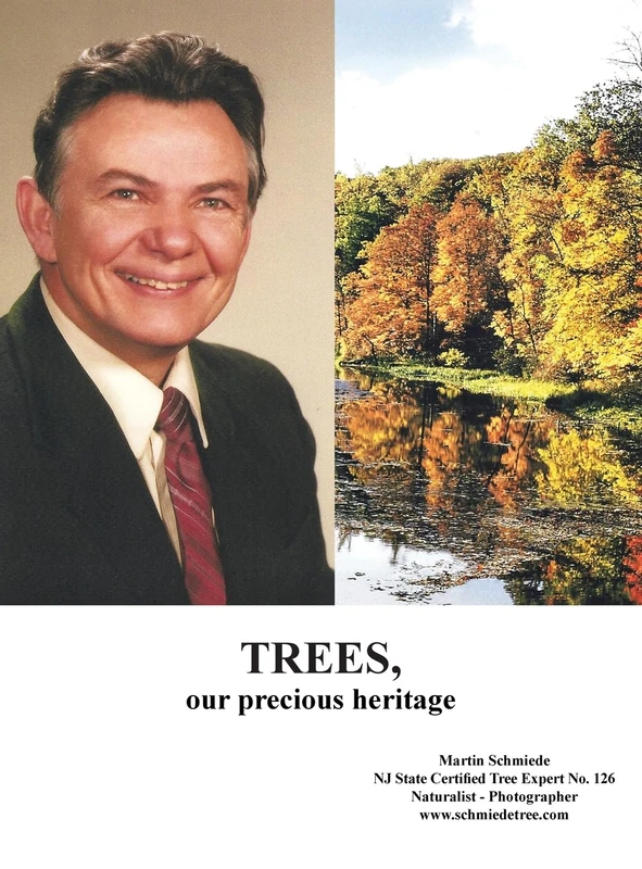 Trees, Our Precious Heritage