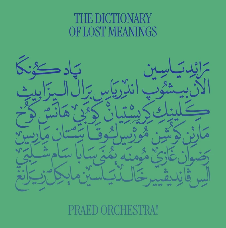 The Dictionary Of Lost Meanings [VINYL]