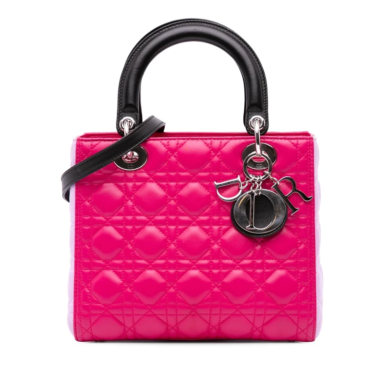 Dior Pre-Loved Medium Tricolor Lambskin Cannage Lady Handbag