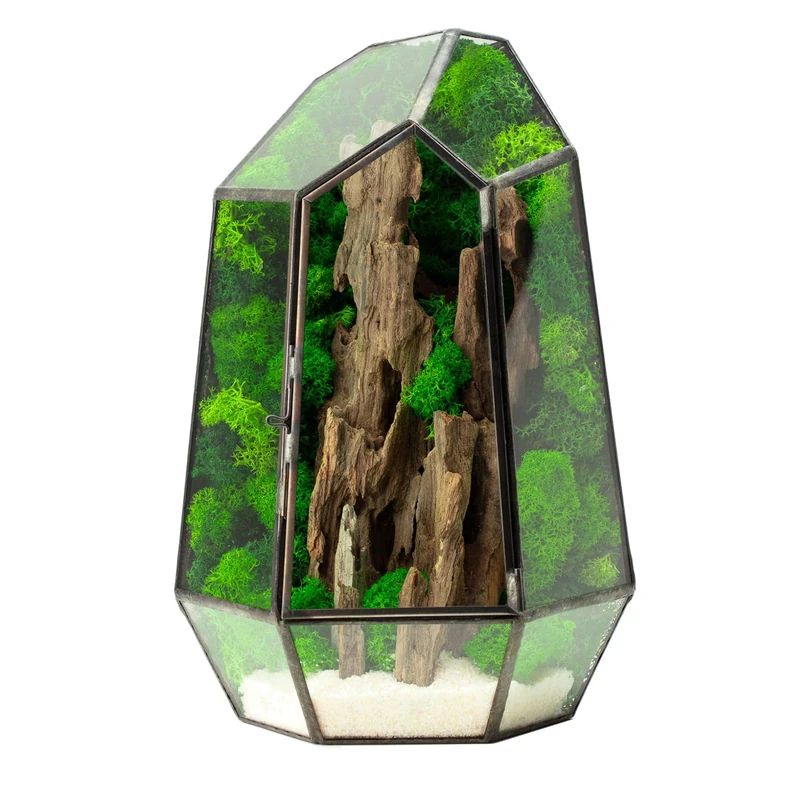 WabiFlur Fløya Stabilized Terrarium in Complete Glass, Nordic Design with Wood, Musks and Lichens Stabilized Natural Furniture Elegant Maintenance Free for Home, Office and Gift Ideas, Green - Image 1
