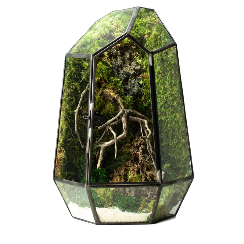 WabiFlur Hönnetal Stabilized Terrarium in Diamond-shaped Glass, Complete with Musks and Stabilized Lichens Natural Furniture Elegant Maintenance Free for Home, Office and Gift Ideas, Green - Image 1