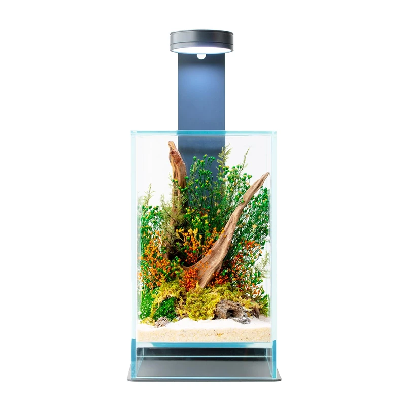 WabiFlur Sparoza Stabilized Terrarium in Extrafloid Glass, Complete with Light and Stand, Stabilized Flowers Natural Elegant Maintenance Free Furniture for Home, Office and Gift Ideas, Green