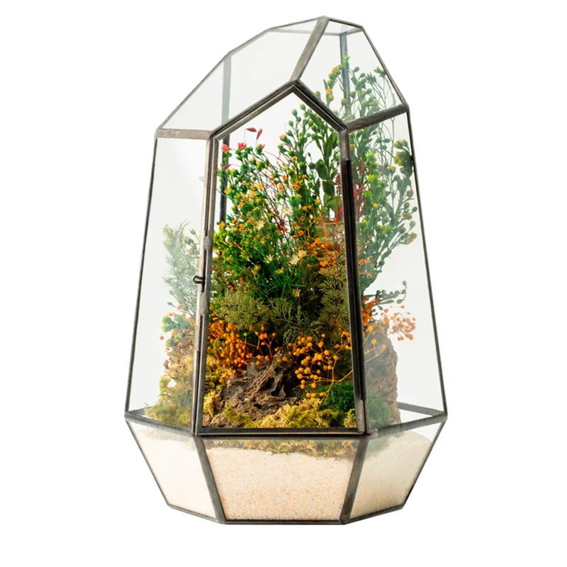 WabiFlur Hyde Stabilized Terrarium in Diamond-shaped Glass, Complete with Stabilized Flowers and Moss Natural Furniture Elegant Maintenance Free for Home, Office and Gift Ideas, Green - Image 1