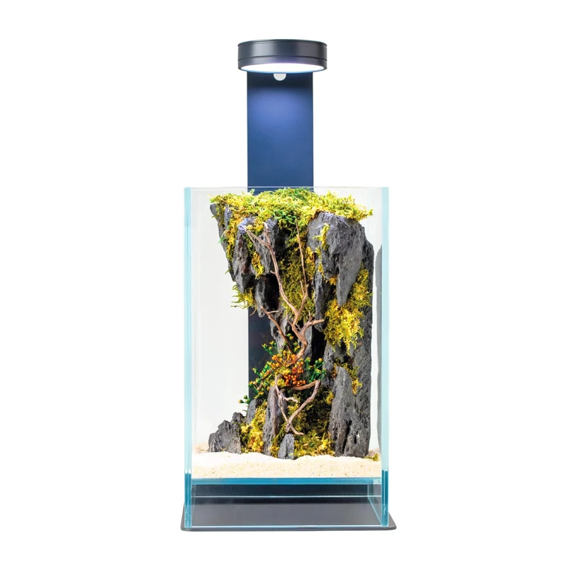 WabiFlur Creus Stabilized Terrarium in Extra Clear Glass with LED Light and Stand, Complete with Stabilized Flowers Elegant Natural Furniture Without Maintenance for Home, Office and Gift Ideas, Green - Image 1