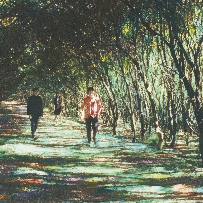 Taiyou No Sekai (The True Sun) [Vinyl LP] [VINYL]