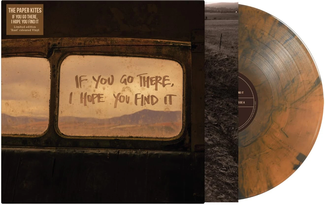 If You Go There, I Hope You Find It [VINYL]