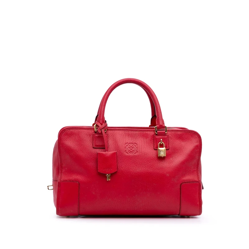 LOEWE Pre-Loved Leather Amazona 36